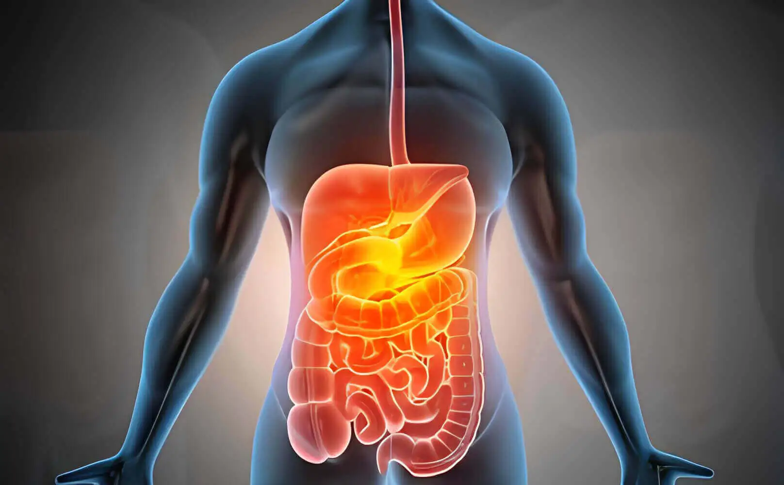 Gastrointestinal Problems